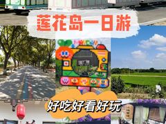 -小陆莲花蟹园农家乐(莲花岛店)