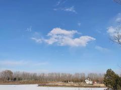 -东郊湿地公园