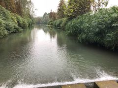 -桤木河湿地公园