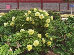 -大钟寺古钟博物馆