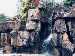 -尚湖风景区