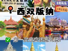 -西双版纳原始森林公园