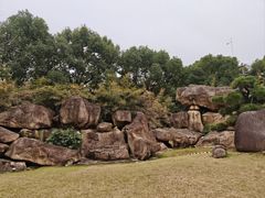-云客来·花园餐厅(洛社店)