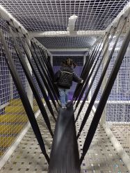 -卡通尼乐园(武商MALL·世贸店)