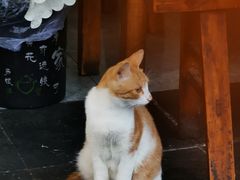 -张醪糟(街子店)
