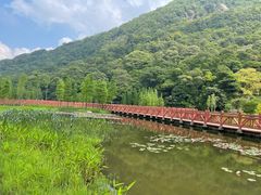 -广州市石门国家森林公园