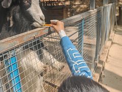 -栾川竹海野生动物园