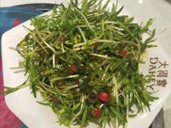 凉拌菜-大河宴·椒麻鱼火锅(克拉玛依西路头宫店)