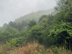 -黄巢水库