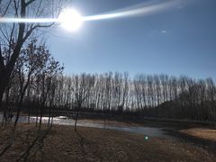 -东郊湿地公园