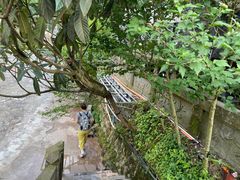 -华冠悠岚·庭院餐厅(青城后山店)