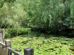 -天目湖山水园