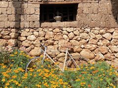 -田德能咖啡博物馆