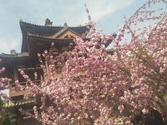 -西安青龙寺遗址景区