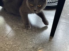 -NOTOOCAFE不二咖啡馆(岩前店)