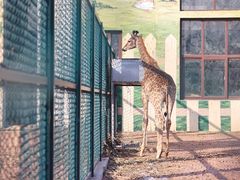 -秦皇岛野生动物园