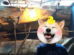 -蓬莱欧乐堡海洋极地世界