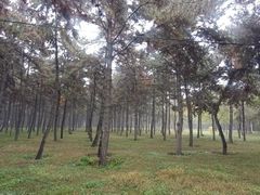 -青城公园