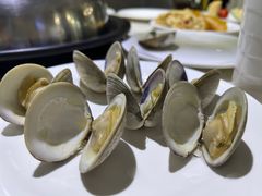各式贝类-青蓬蒸汽海鲜·深圳老字号·团建聚会(壹方城店)