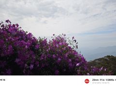 -广州市石门国家森林公园