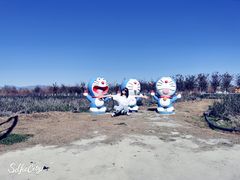 -大理洱海