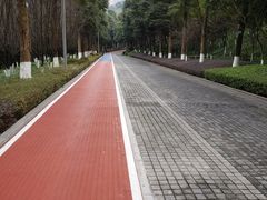 -龙头寺公园