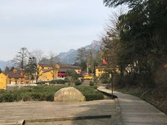 -曾福兴