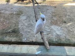 -杭州野生动物世界