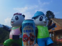 -碧峰峡风景区