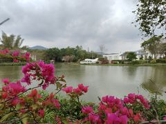 -叶挺将军纪念园