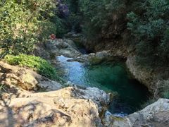 -广州白江湖森林公园