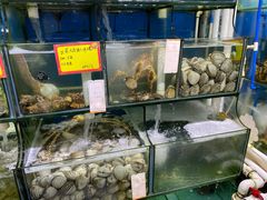 水产区-蚝专家(北滘店)