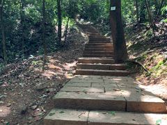 -九曜山
