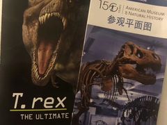 -美国自然历史博物馆