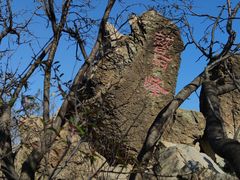 -北京鹫峰国家森林公园