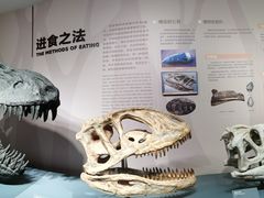 -自贡恐龙博物馆