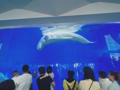 -泉城欧乐堡海洋极地世界
