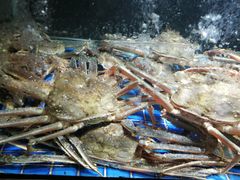 -徐记海鲜(观沙岭|滨江新城店)
