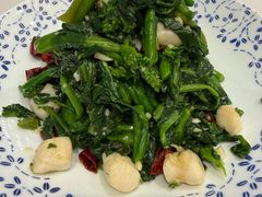 山野菜拌鲜贝丁-必点海鲜·海肠捞饭·鲅鱼水饺(滨江道店)