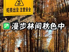 -白水寺森林公园
