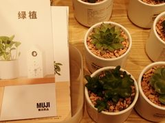 -MUJI无印良品(环球港店)