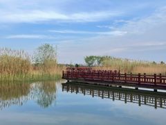 -嘉北郊野公园