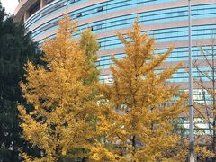 -上海安亭别墅花园酒店