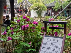 -上海醉白池公园