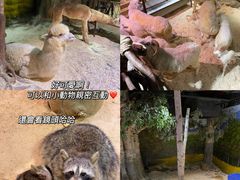 -正佳极地海洋世界