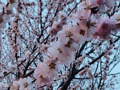 -天津东丽湖风景区
