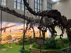 -广西壮族自治区博物馆