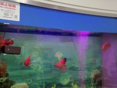-雅悦齿科(顾村公园店)
