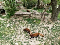 -西安秦岭野生动物园