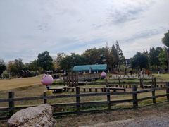 -田园东方蜜桃村的田野营地